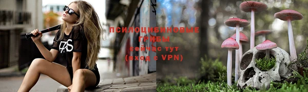 первитин Богданович