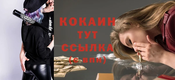 прущая мука Богородицк