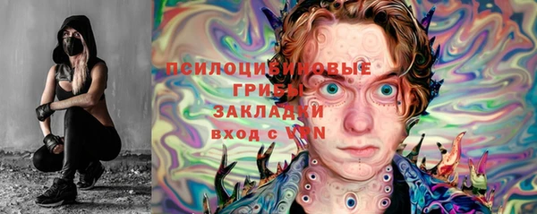 первитин Богданович